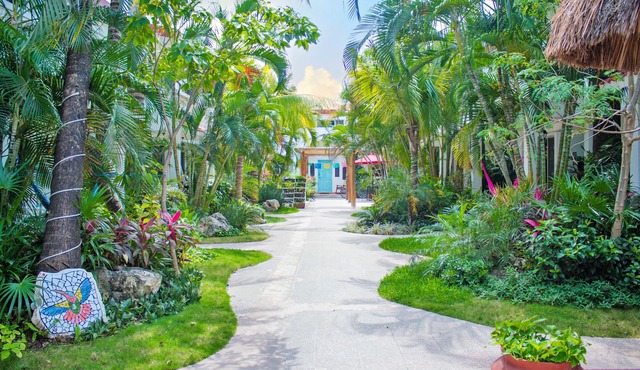 Hotel Villas Colibrí Suites and Bungalows.