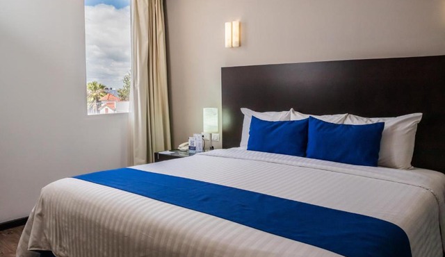 Hotel Zenith