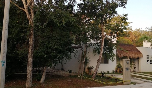 house one level