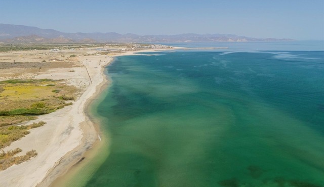 "I have traveled the world and this is the best beach I have ever seen"