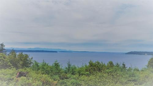 Island View-Spectacular view of Puget Sound and the Olympic Mountains in Gregory Heights