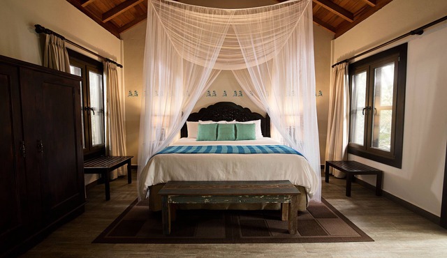Jungle Lodge Hotel