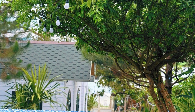 Kap Homestay Pleiku-Lake view