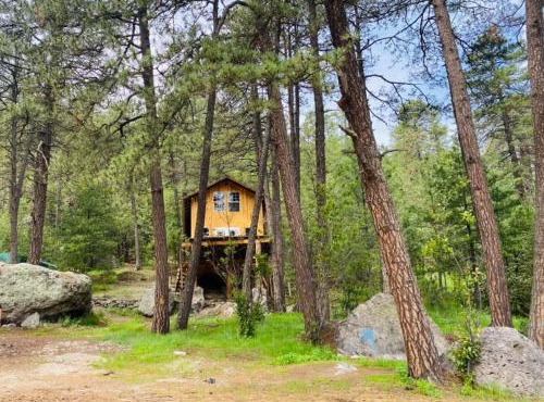 Kari Hillcabins