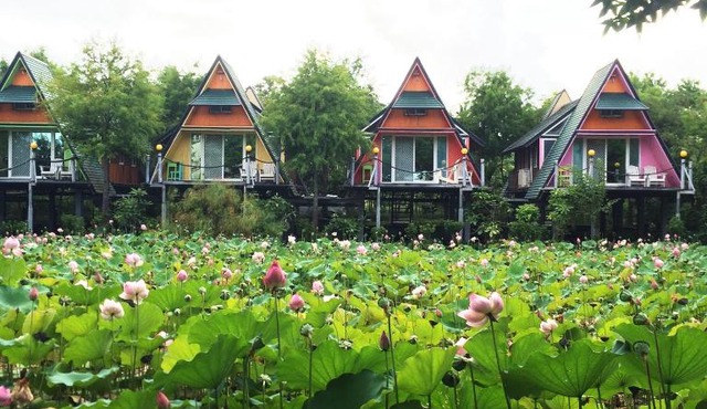Kitefarm in Dongshan