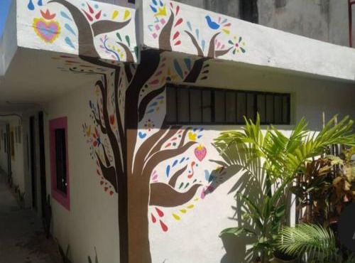 La Casa de los Cactus 8