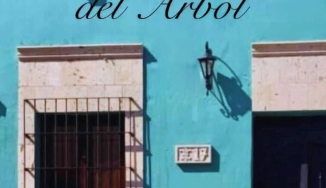 La Casa del Arbol, only 50 meters away from the municipal square, tourist tours and church.