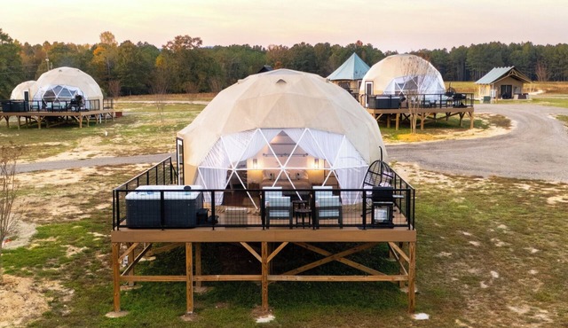 Lake Front Geodesic Dome: Hot Tub, TV, & Lake Views in Cedar Bluff