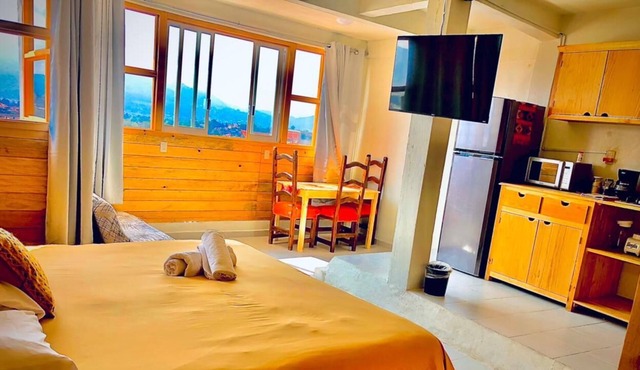 Light and View Wooden Loft