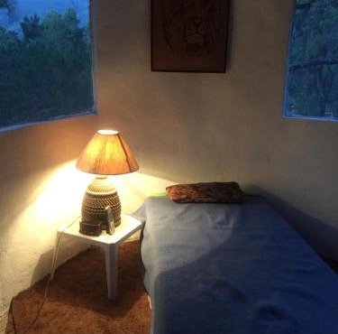 Lions King cabin woods