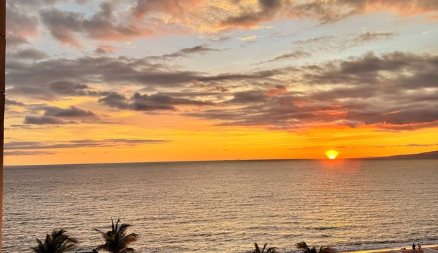 Luxury Condo Harbor 171 Oceanfront in PV Hotel Zone