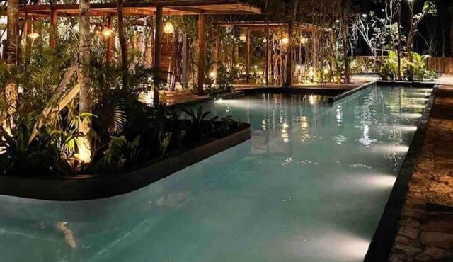 Luxury House with 2 pools , 3 BDS,jungle style Tulum