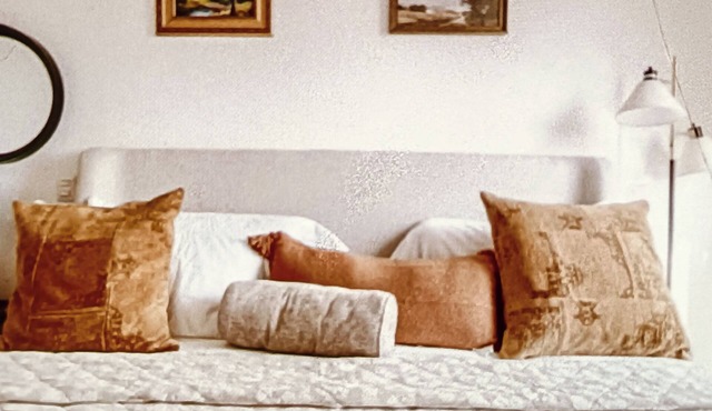 Luxury suites polanco