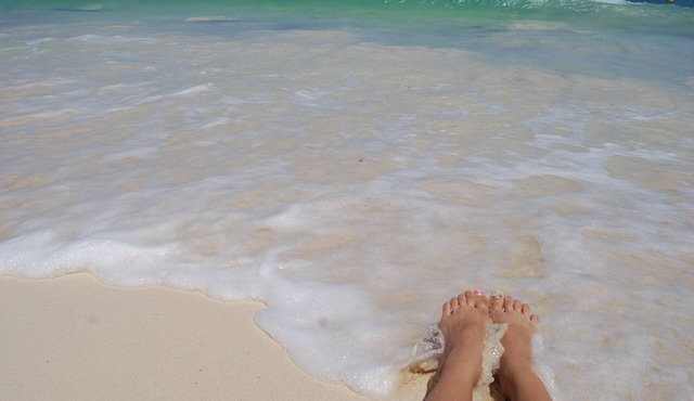 Luxury Villa Exotic surroundings, Private pool , Staff, Chef ,24h Security