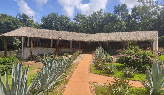 Luxury villa on organic farm surrounded by nature
