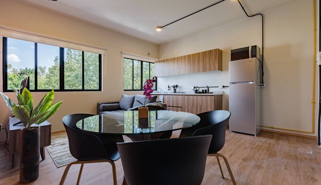 Mariano Escobedo Apartments by VH