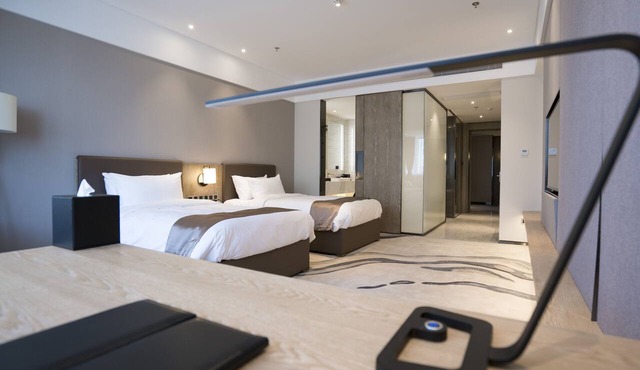 Mercure Panjin