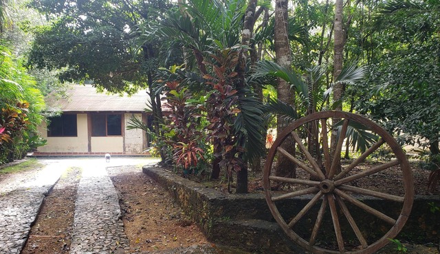 Modern Cabin in the Mayan Jungle Ecological Reserve