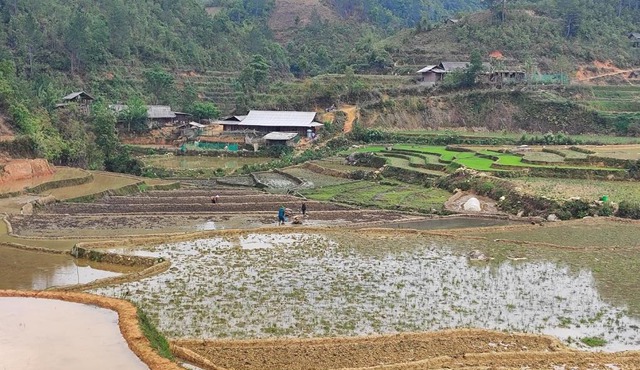 Mu Cang Chai Terrace View Bungalows