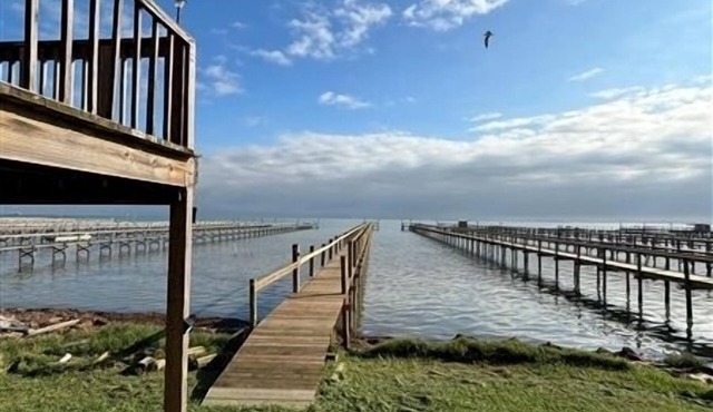 NEW 500' LIGHTED FISHING PIER! JJ's Landing, Large Studio Apartment.