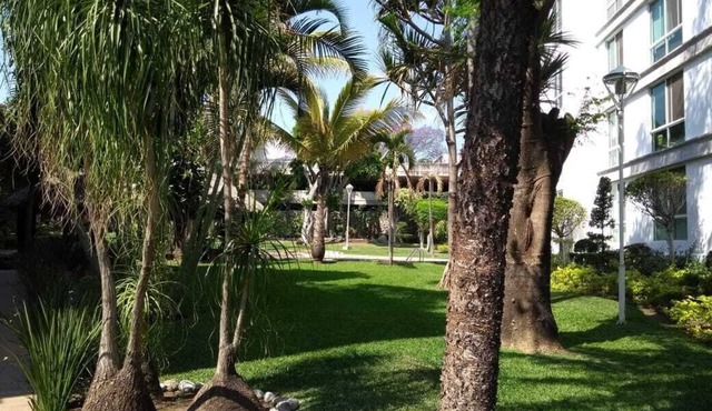 Nice apartment in Cuernavaca. very central.