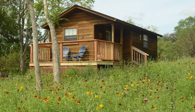 On Twisted Sisters Loop, New Tiny Cabin w/Deck & River Frontage, Pet Friendly! in Leakey