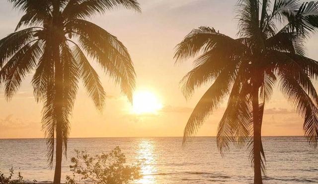 Private Ocean Front Villa - Cozumel - 2 Bedrooms - Great Snorkeling