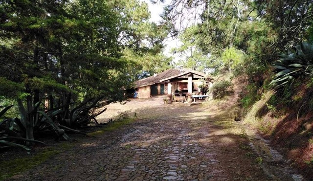 Private retreat estate in the woods. Just 5 minutes away from charming town.