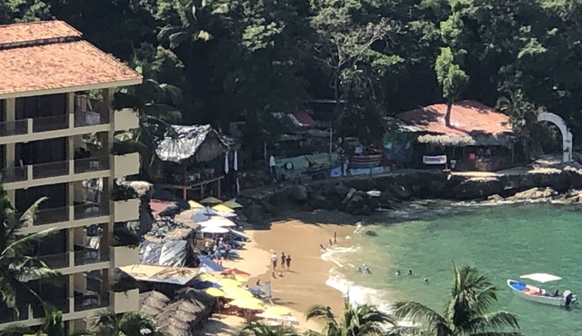 Puerto Vallarta So. Villa 4 bedr Ocean view/Jungle.