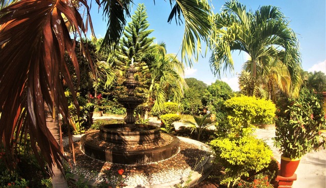 Quinta Comala
