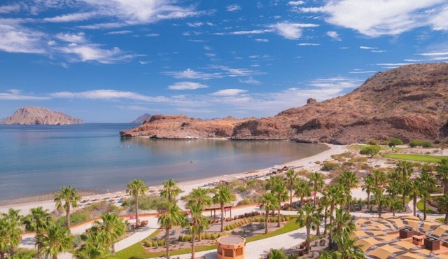 Relaxing Jr Suite in Serene Island of Loreto by Danzante Bay