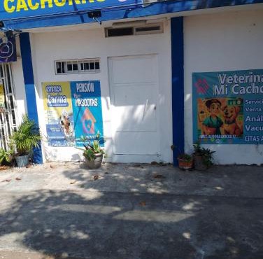 Rinconcito Veracruzano