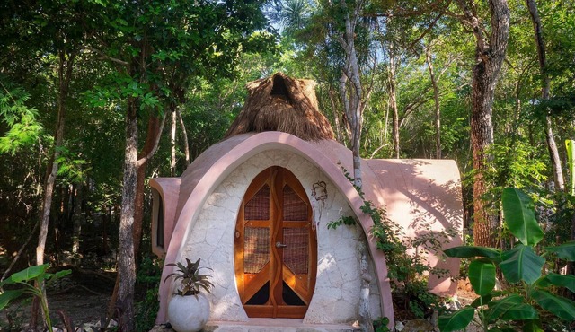 Room-unique Jungle Dome Ik