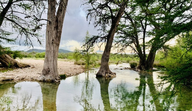 Second Wind Ranch, Beautiful secluded cabin in the woods! in Leakey