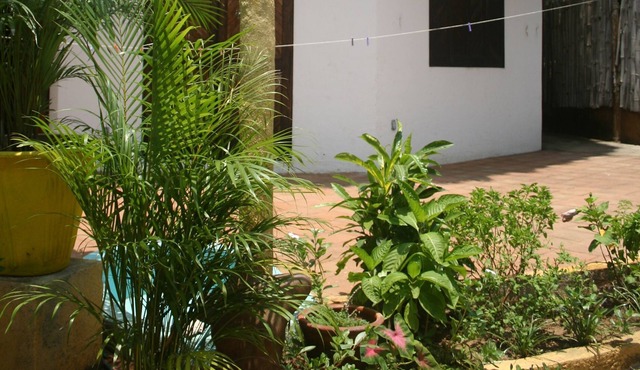Small house with sea views - Mazunte