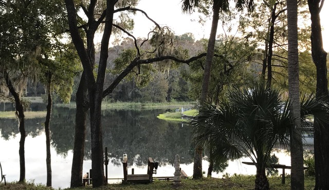 Somewhere. for Birding and Boating in Dunnellon