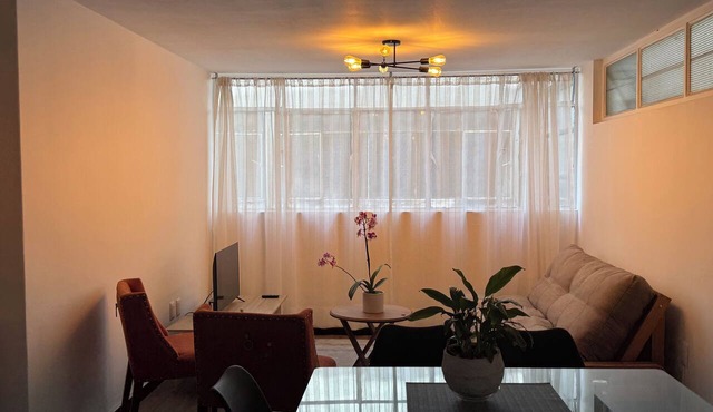 Spacious 3-bedroom apartment in the historic district