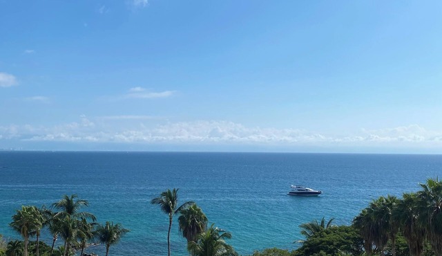 SPECTACULAR BEACH FRONT CHARMING apartment in Enchanting Punta de Mita