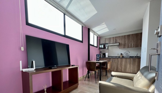 Studio CDMX, north zone