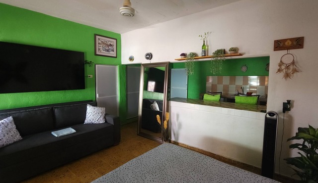 Studio Close to PV Airport