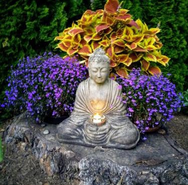 Studio Zen in Kirkland