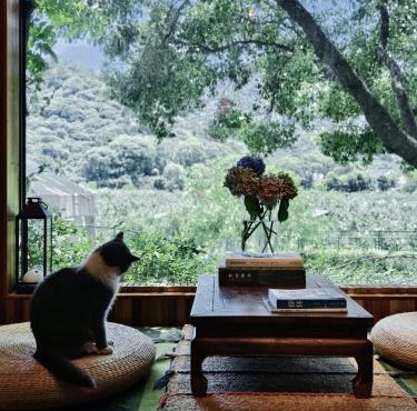 Suzhou Tree B&B - Suzhou Shushan Eco Village