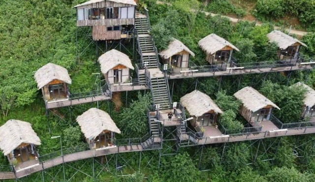 Táo Homestay Venuestay