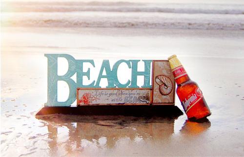 The Beach Life