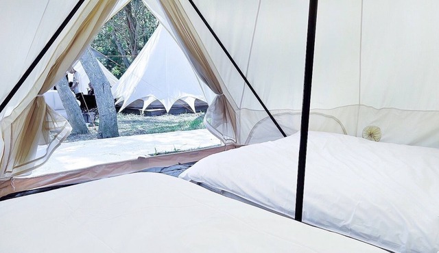 Touching camping