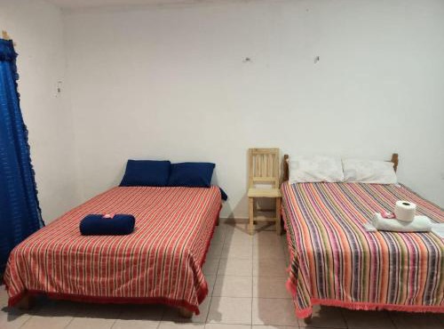 Tucán