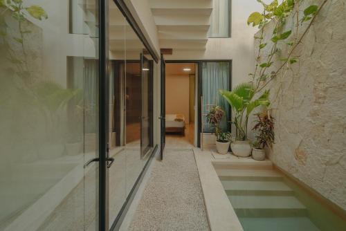 Unforgetable outing with private pool in Tulum