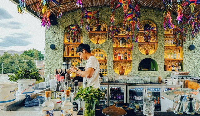Viajero Oaxaca Hostel