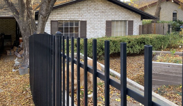 Walk to Zilker Park, Barton Springs, restaurants. Active ride share area. in Austin