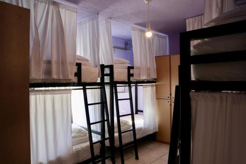 Whale Tales Hostel